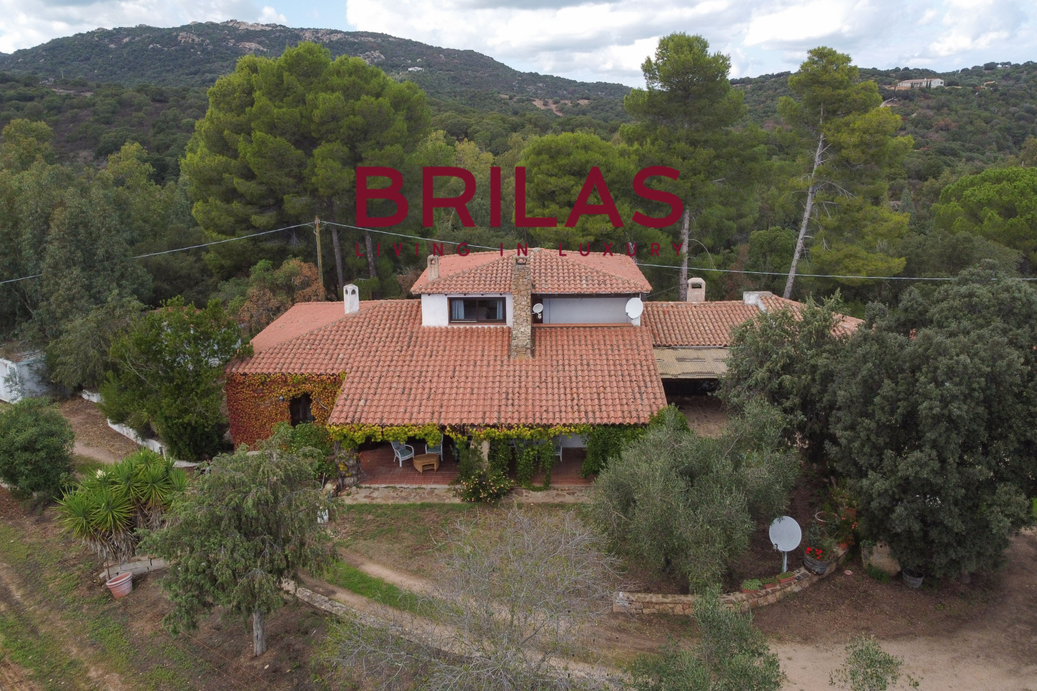 Villa rustica con vigna e uliveto