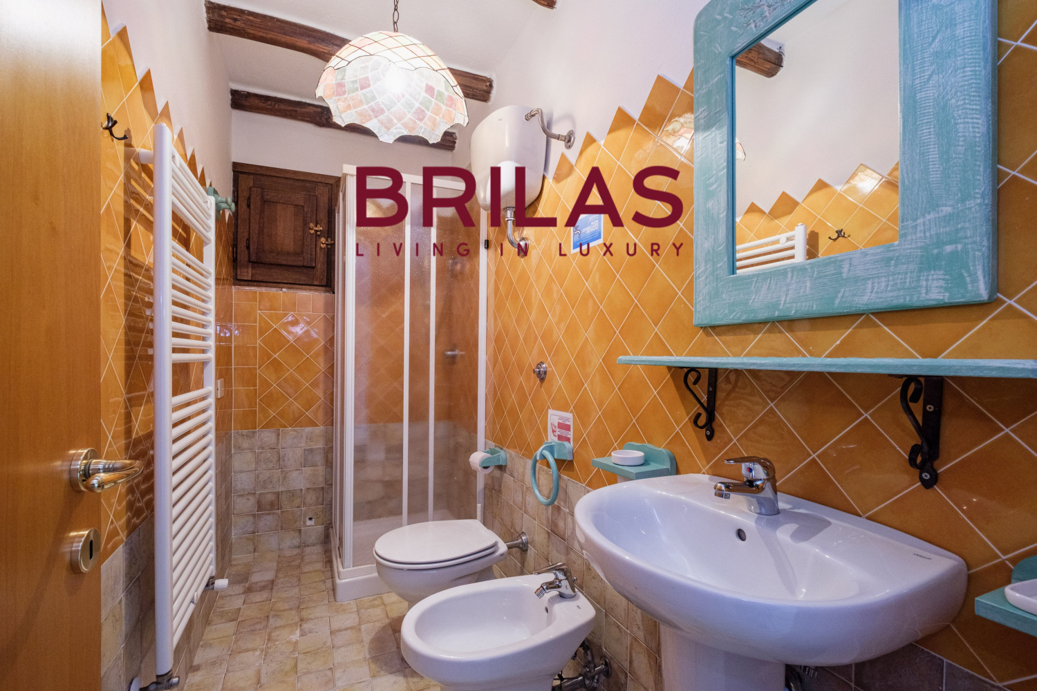 Villa rustica con vigna e uliveto