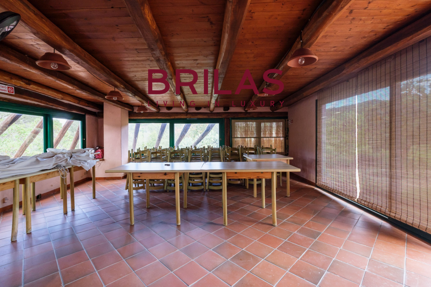 Villa rustica con vigna e uliveto