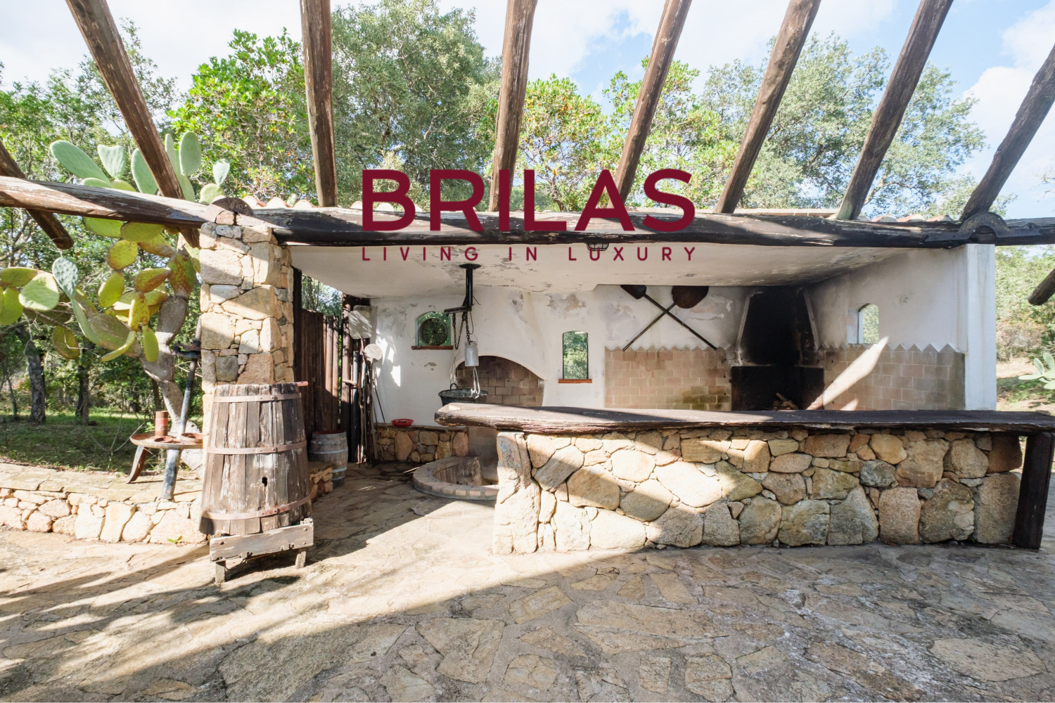 Villa rustica con vigna e uliveto