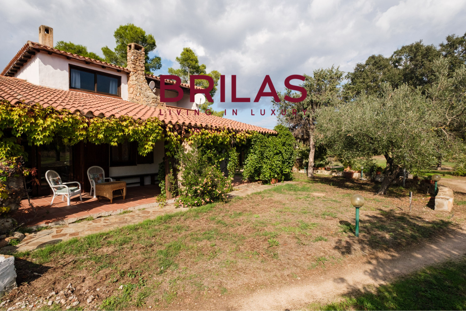 Villa rustica con vigna e uliveto