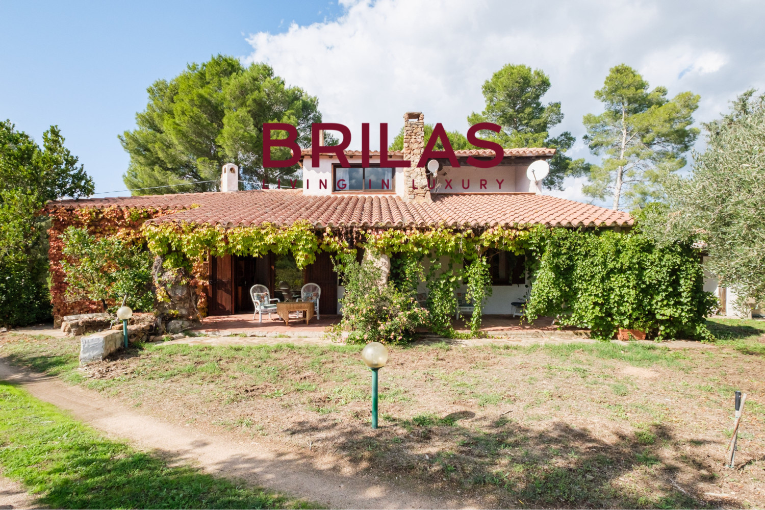 Villa rustica con vigna e uliveto