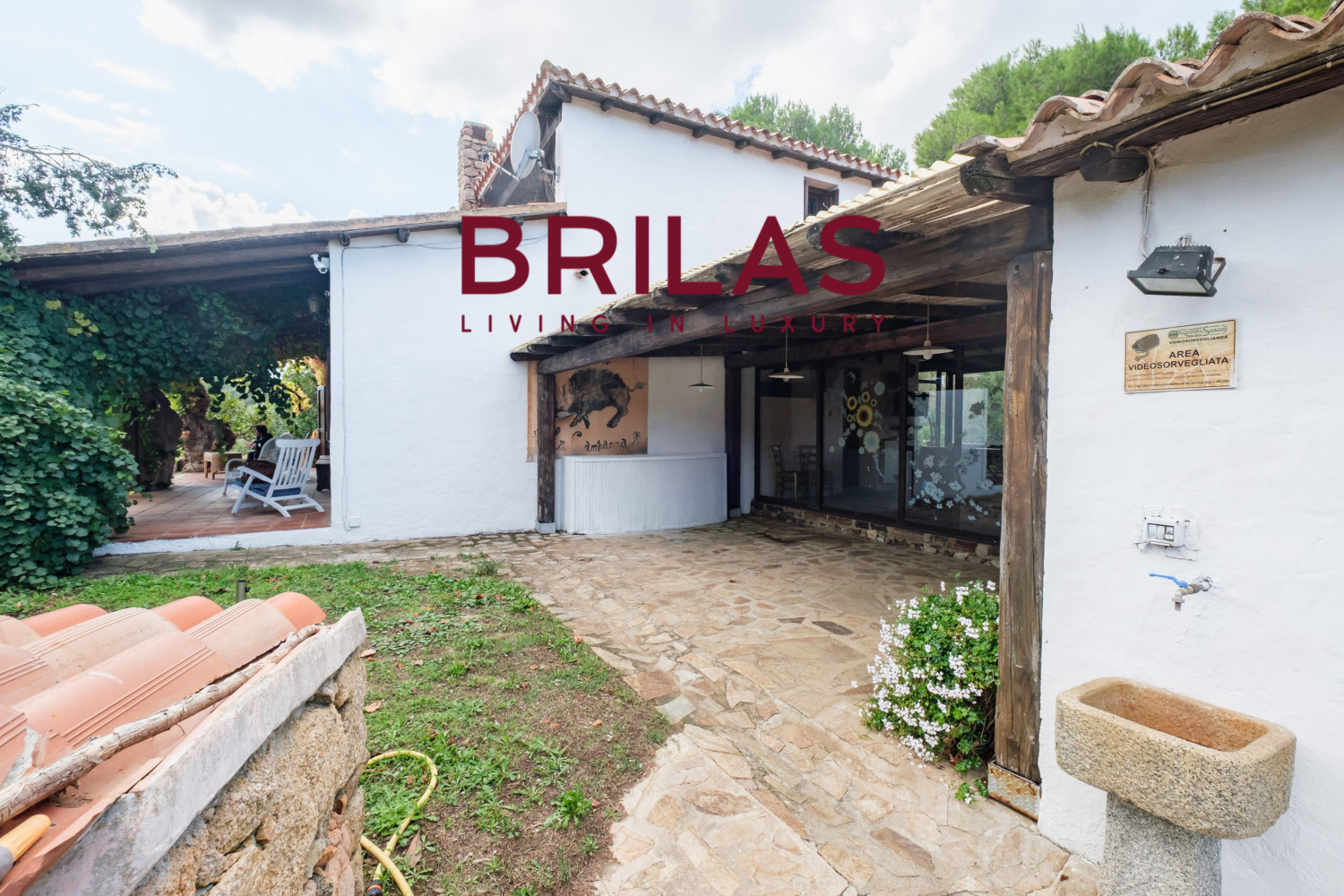 Villa rustica con vigna e uliveto