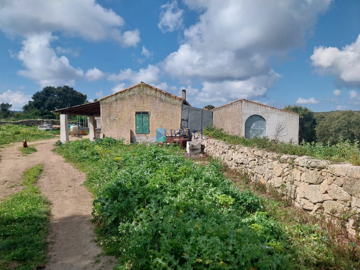 Vendesi Tenuta di 16 Ettari con Fabbricati