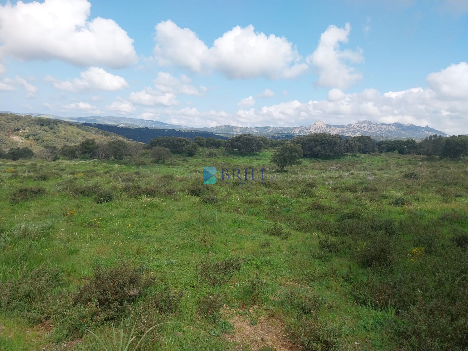 Vendesi Tenuta di 16 Ettari con Fabbricati