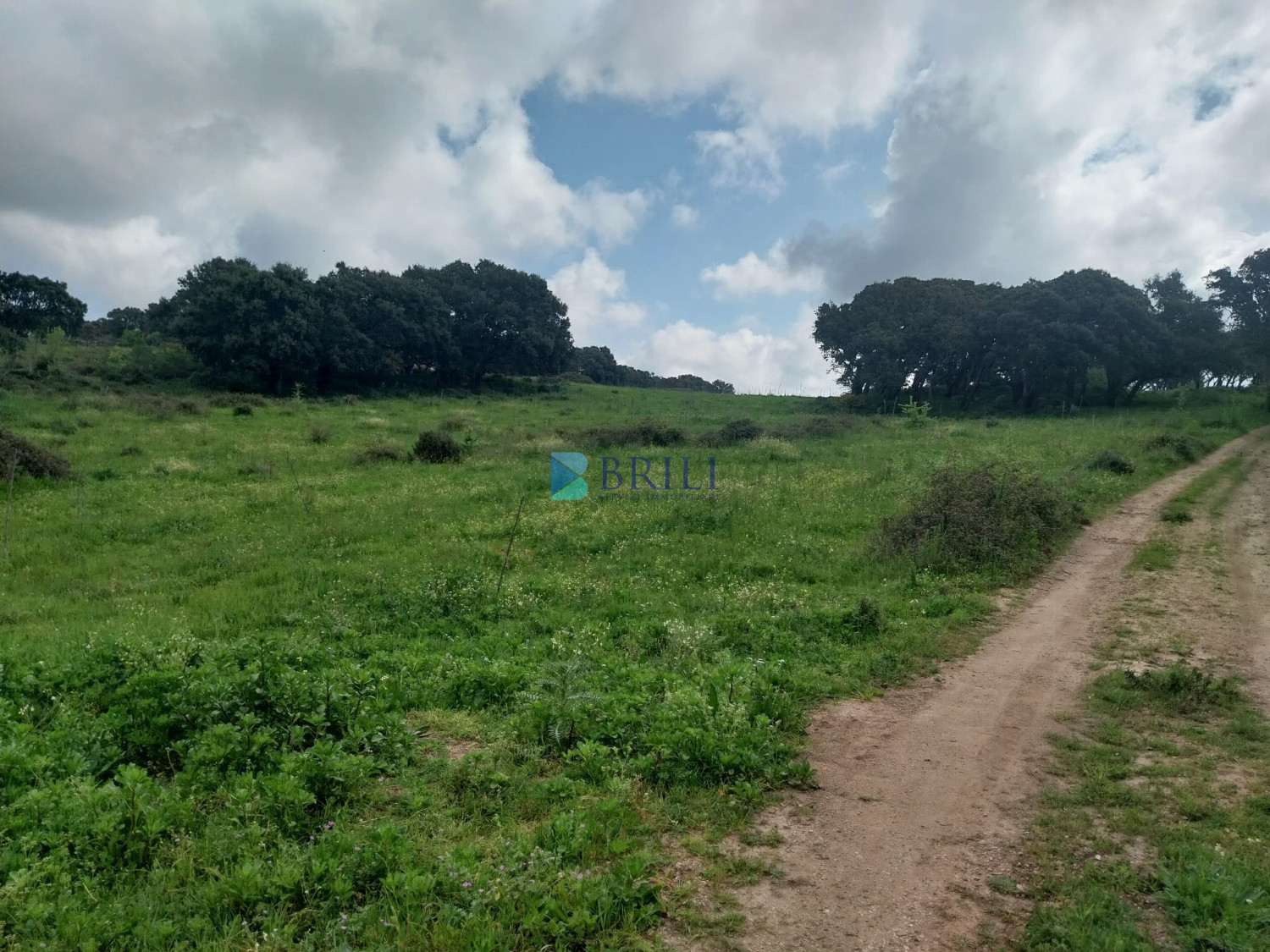 Vendesi Tenuta di 16 Ettari con Fabbricati