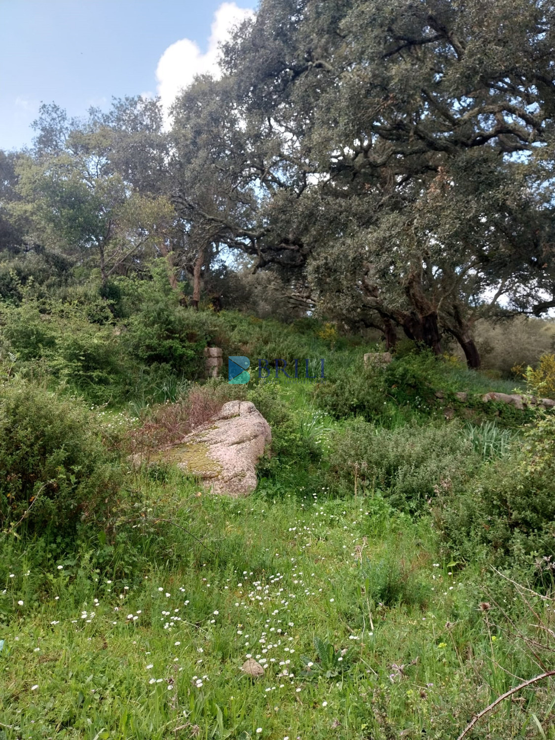 Vendesi Tenuta di 16 Ettari con Fabbricati