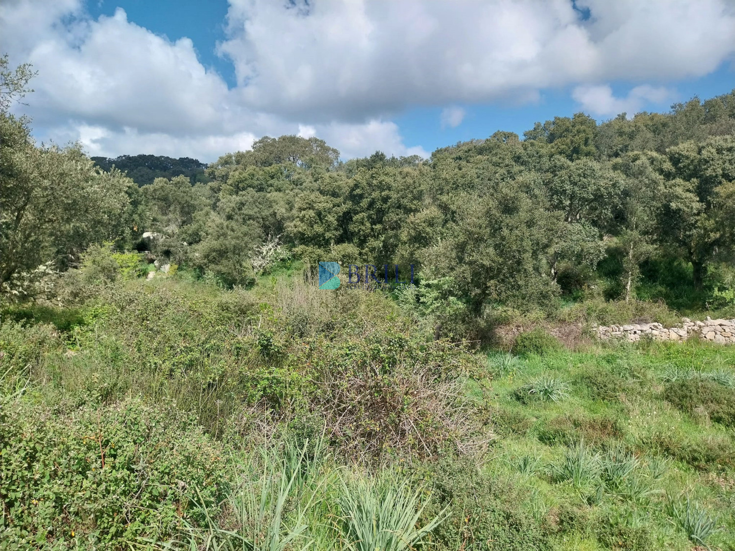 Vendesi Tenuta di 16 Ettari con Fabbricati