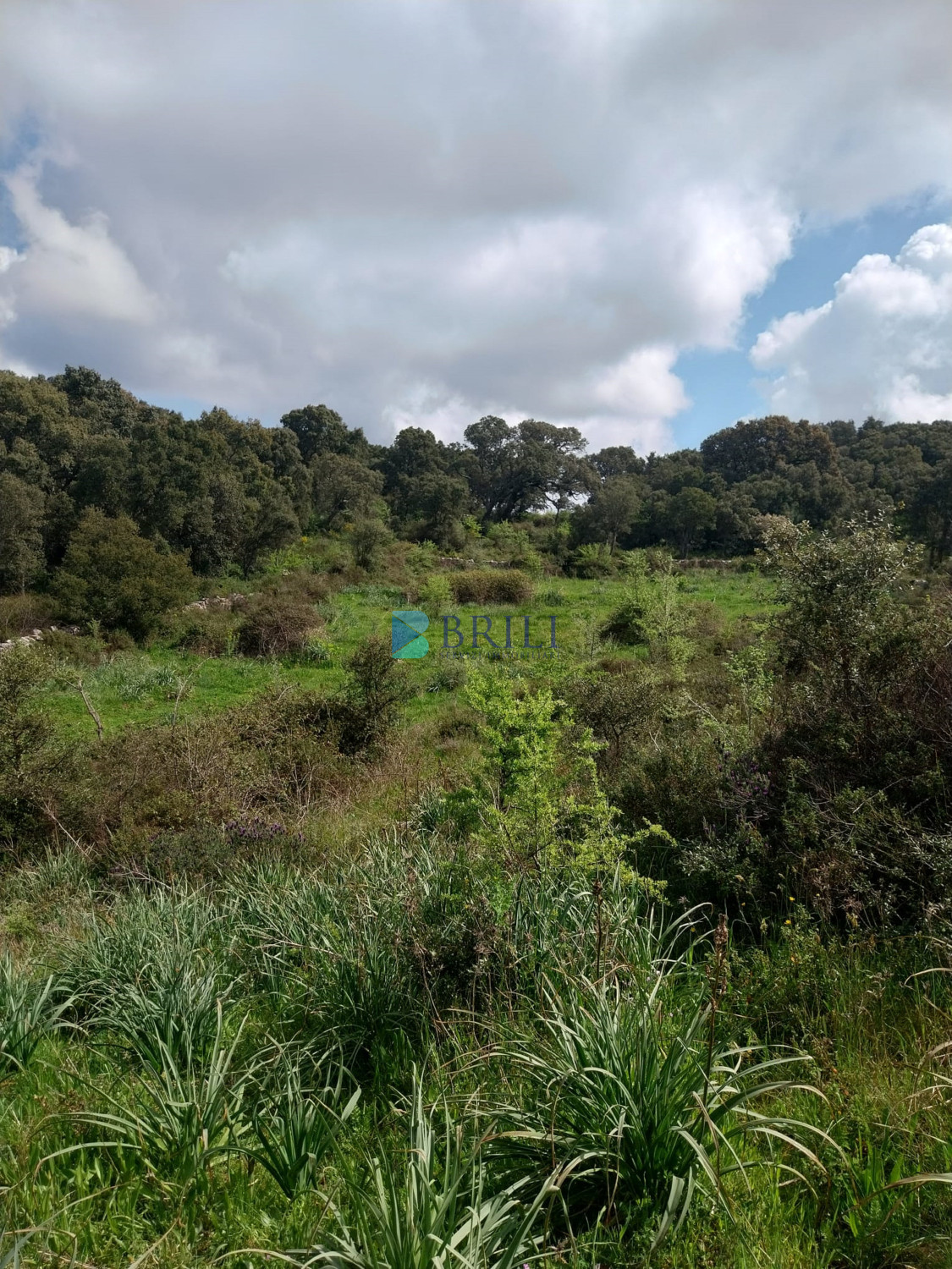 Vendesi Tenuta di 16 Ettari con Fabbricati