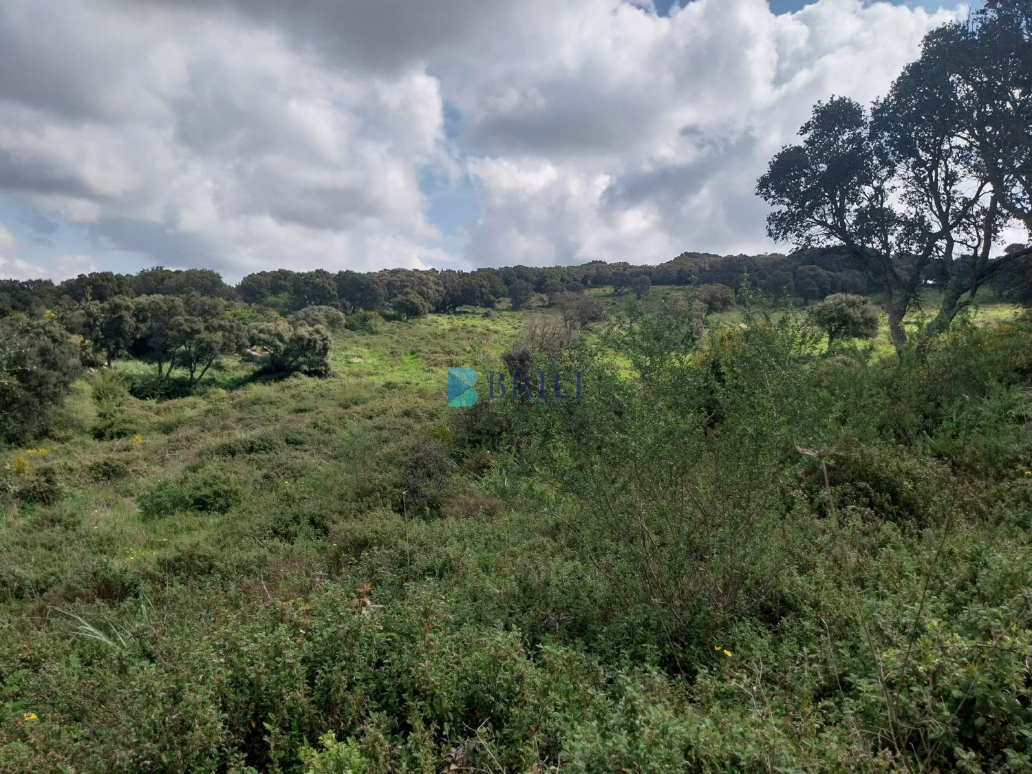 Vendesi Tenuta di 16 Ettari con Fabbricati