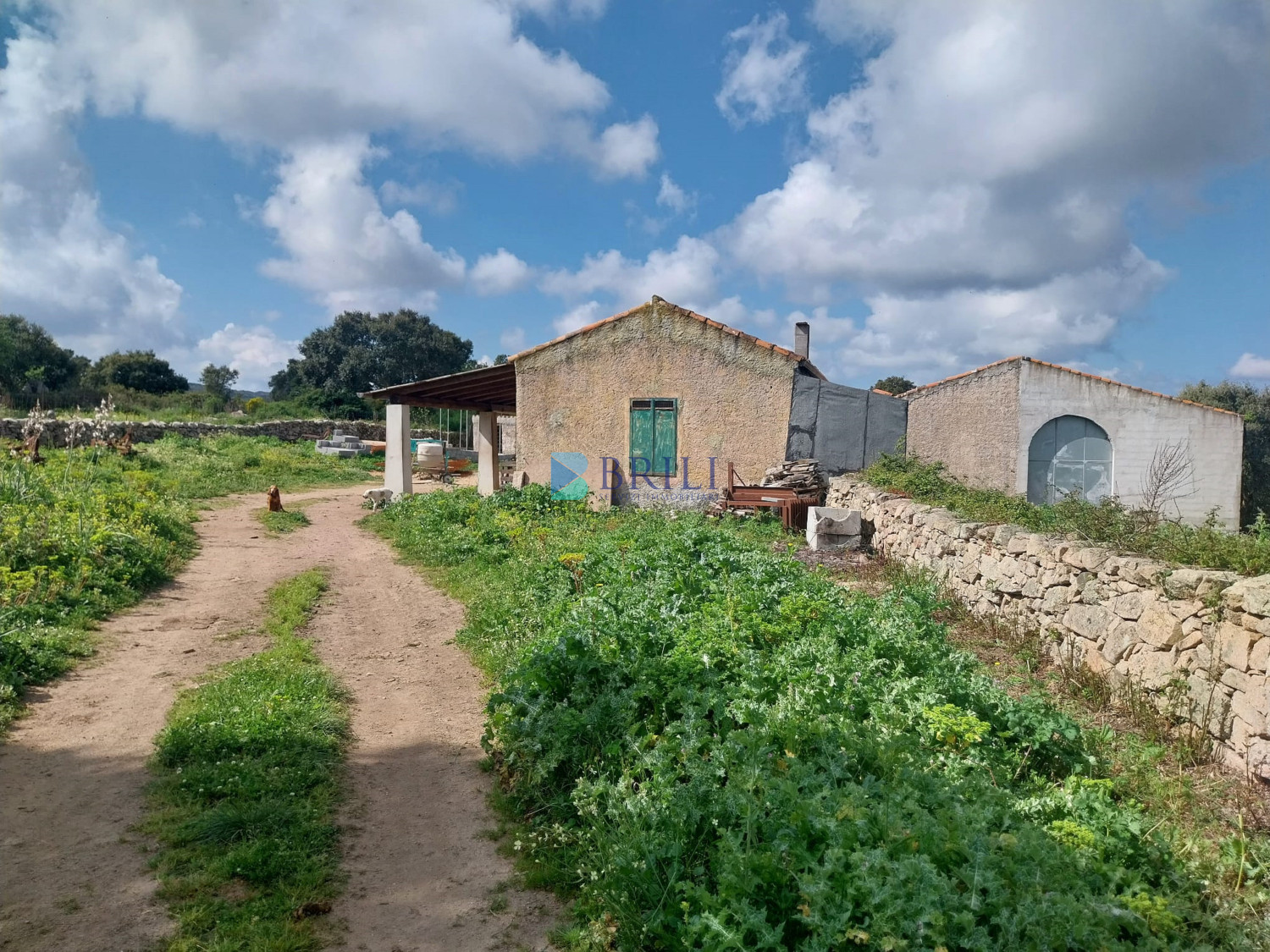 Vendesi Tenuta di 16 Ettari con Fabbricati