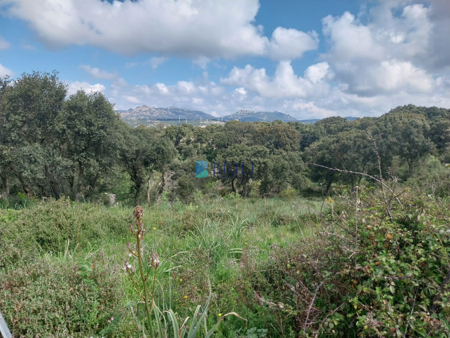 Vendesi Tenuta di 16 Ettari con Fabbricati