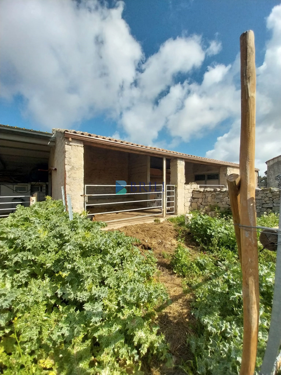 Vendesi Tenuta di 16 Ettari con Fabbricati