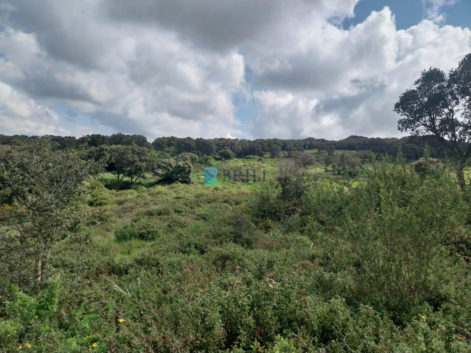 Vendesi Tenuta di 16 Ettari con Fabbricati