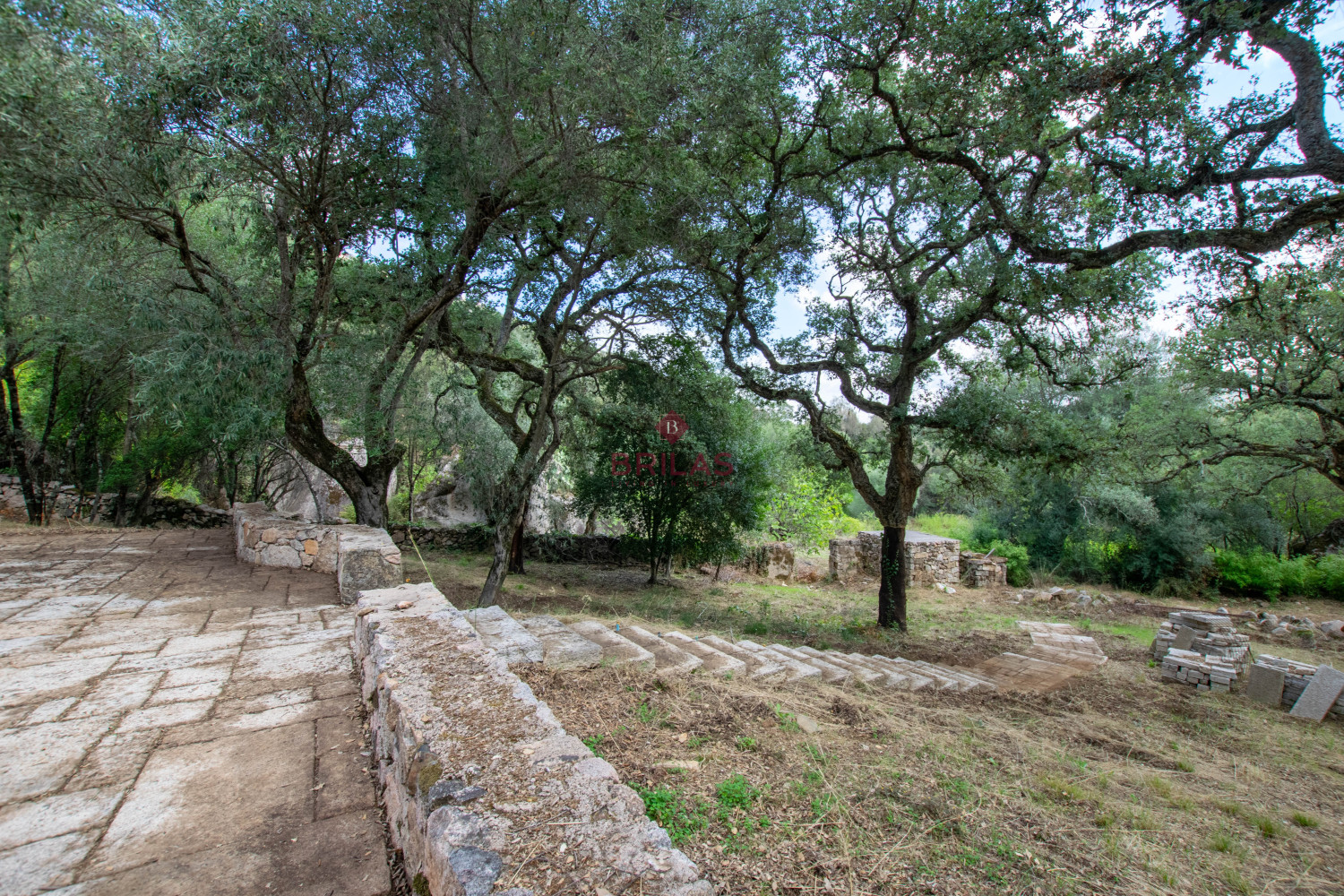 Esclusiva proprietà a Calangianus