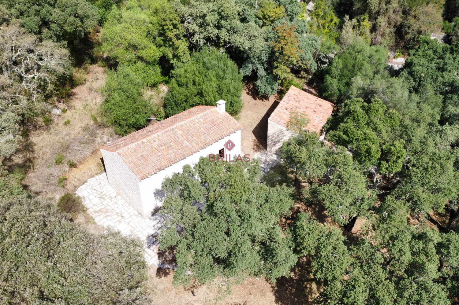 Esclusiva proprietà a Calangianus