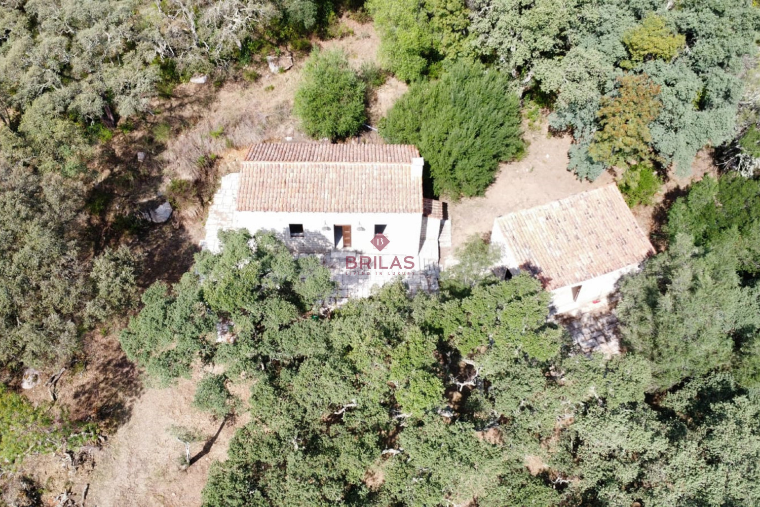 Esclusiva proprietà a Calangianus