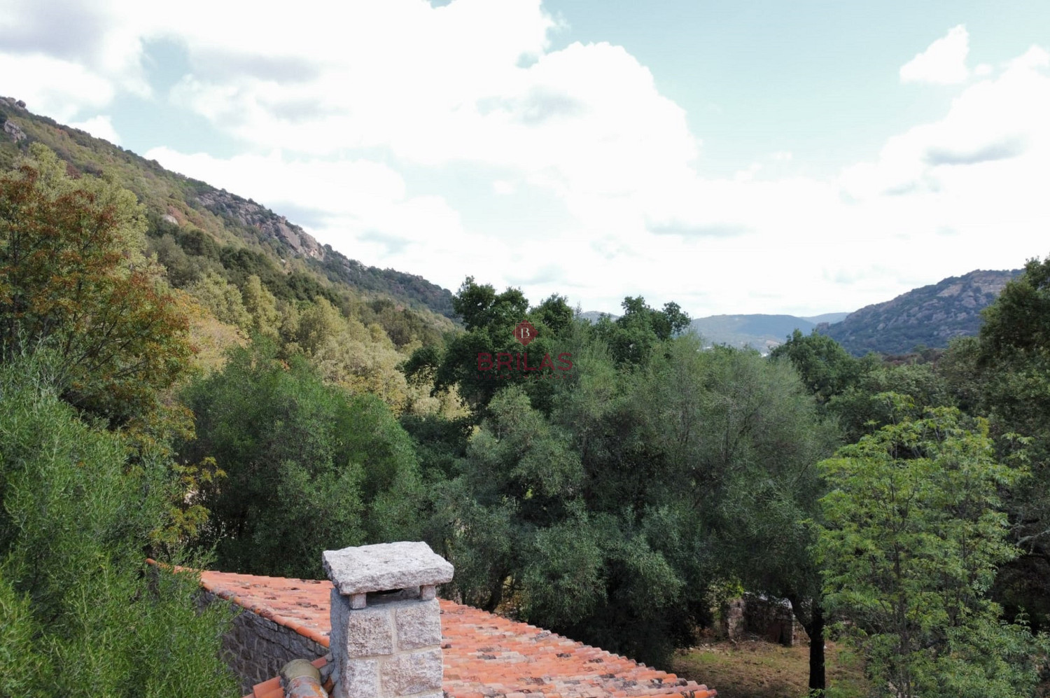 Esclusiva proprietà a Calangianus