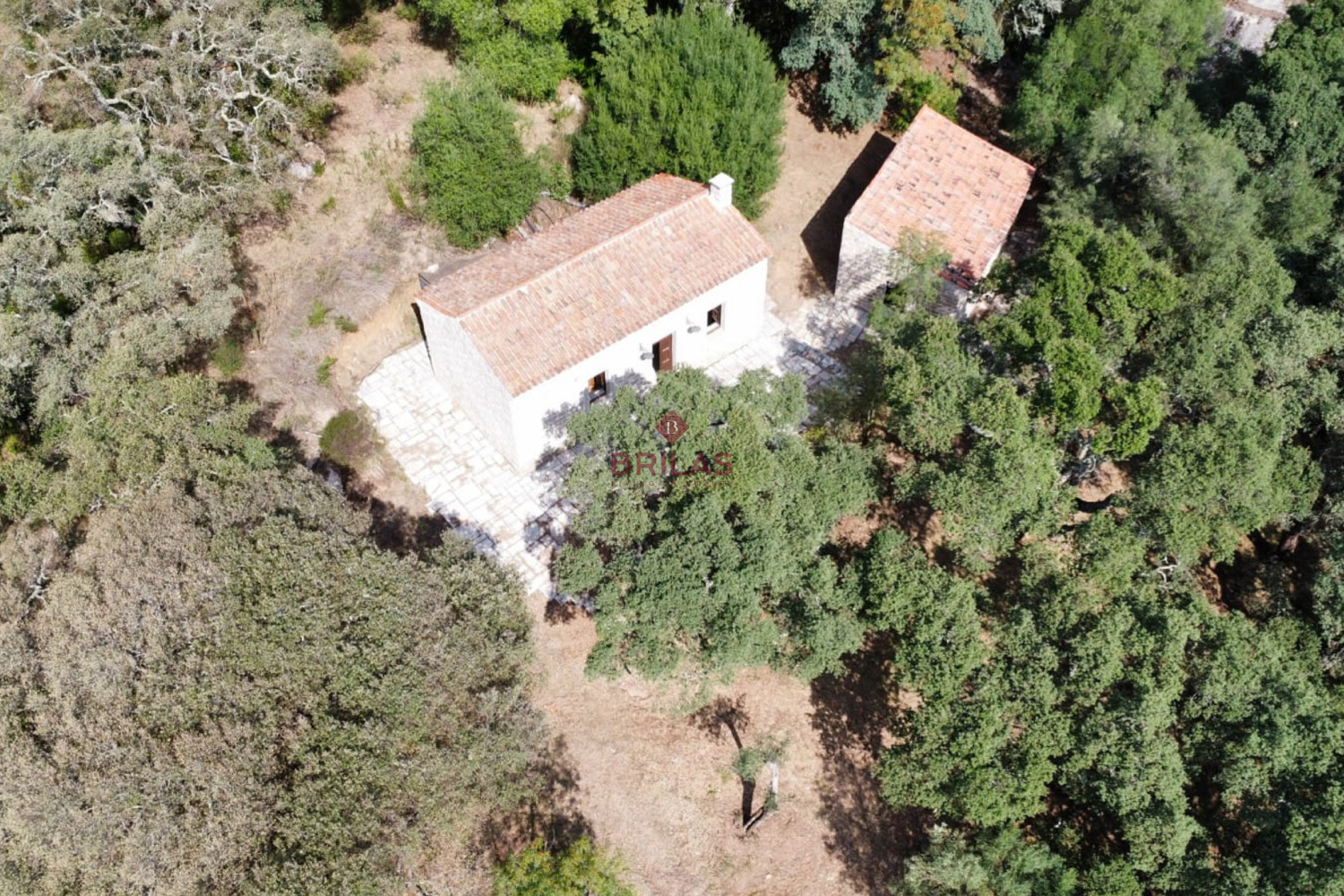 Esclusiva proprietà a Calangianus