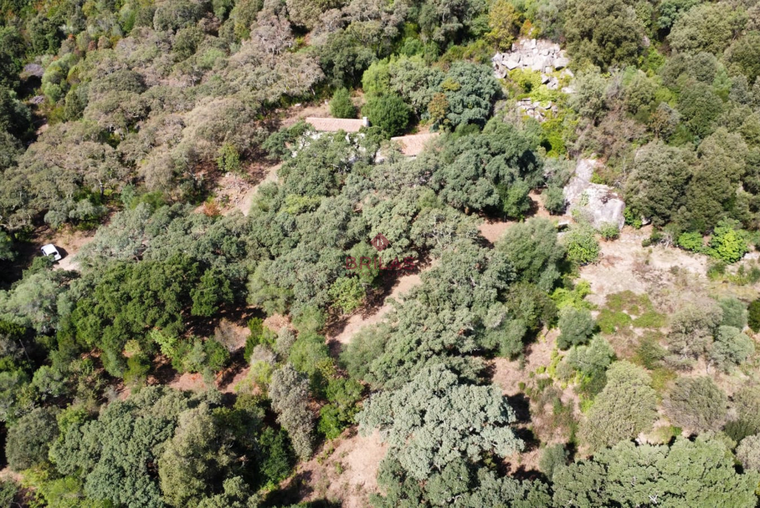 Esclusiva proprietà a Calangianus