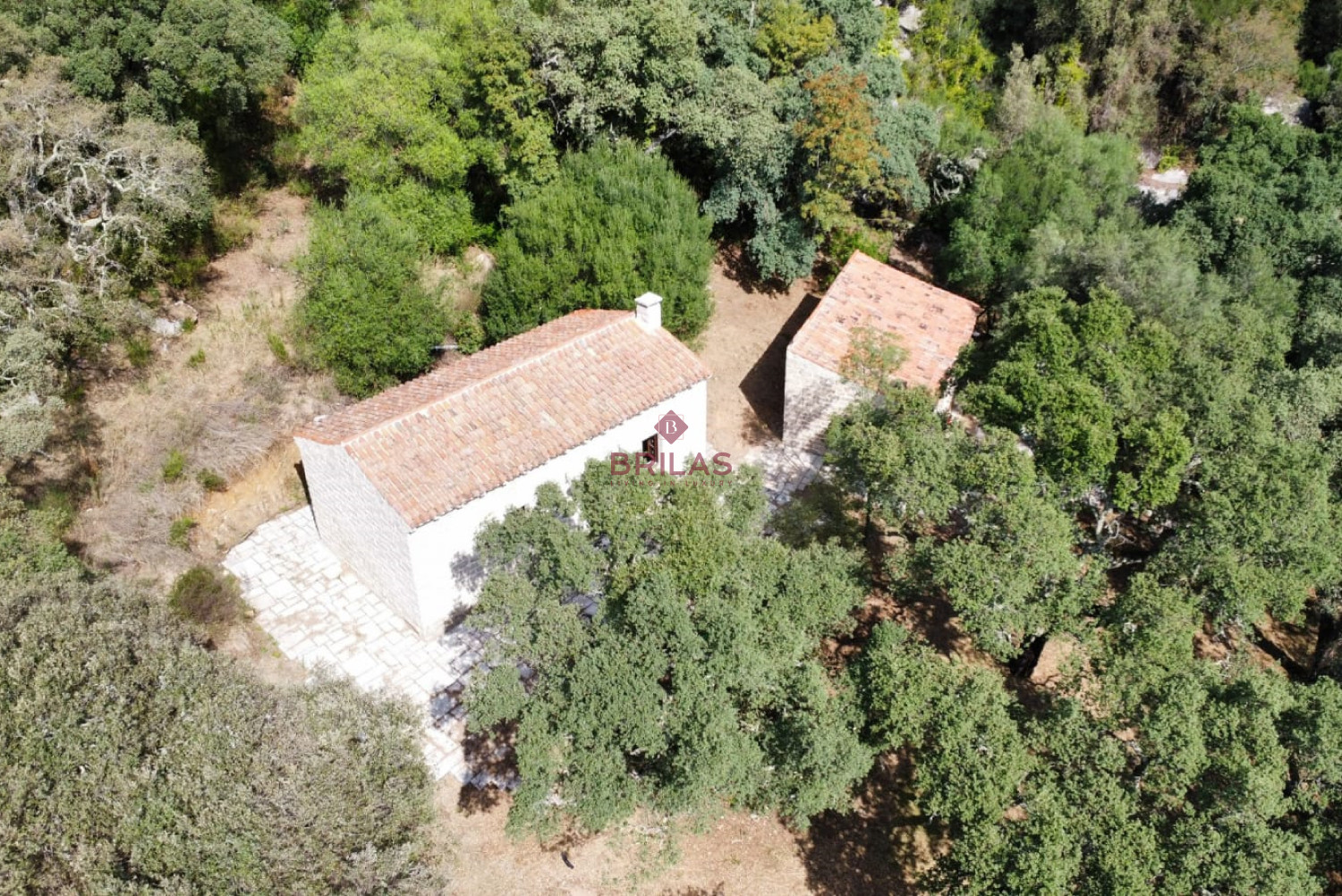 Esclusiva proprietà a Calangianus