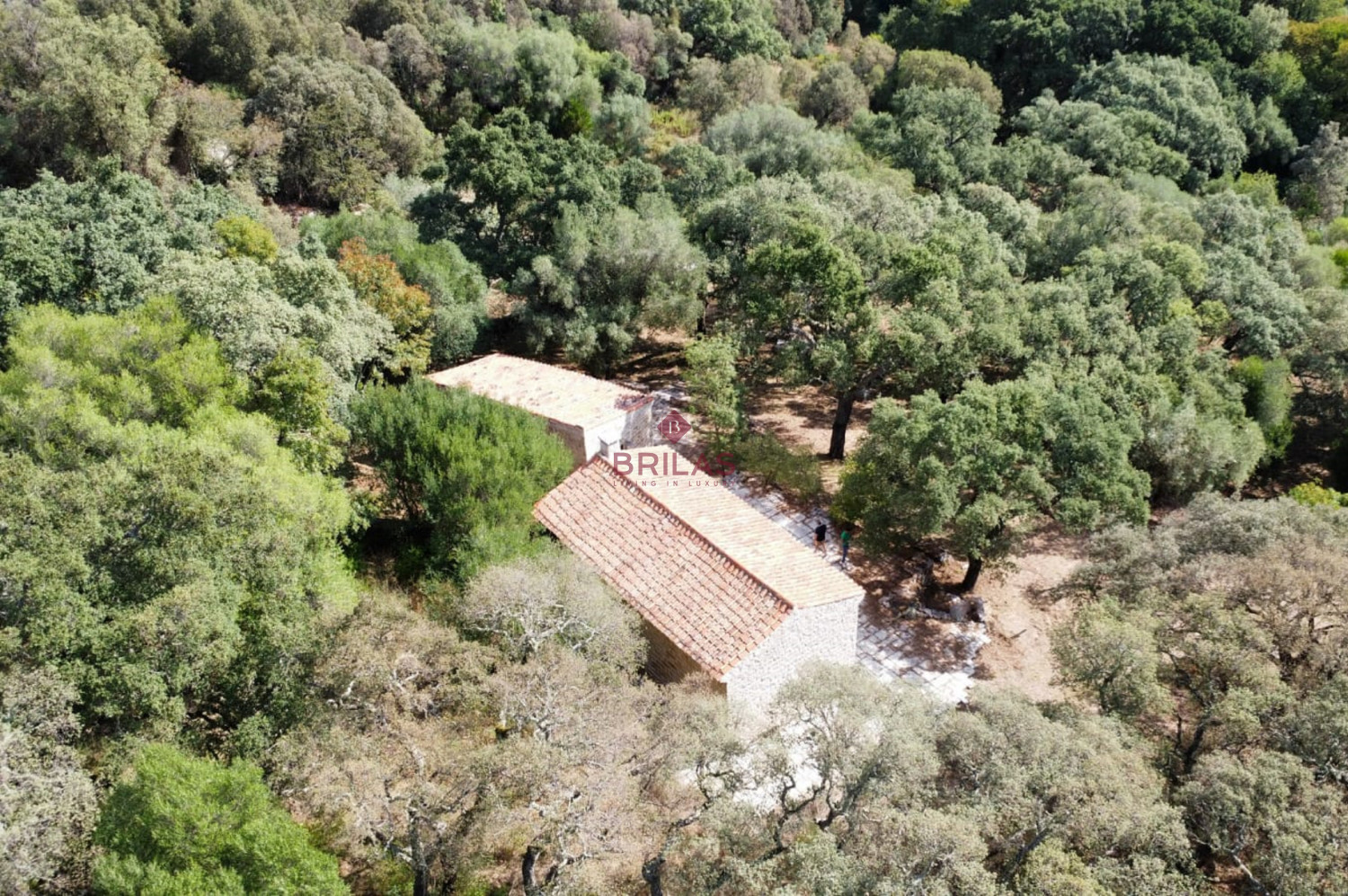 Esclusiva proprietà a Calangianus