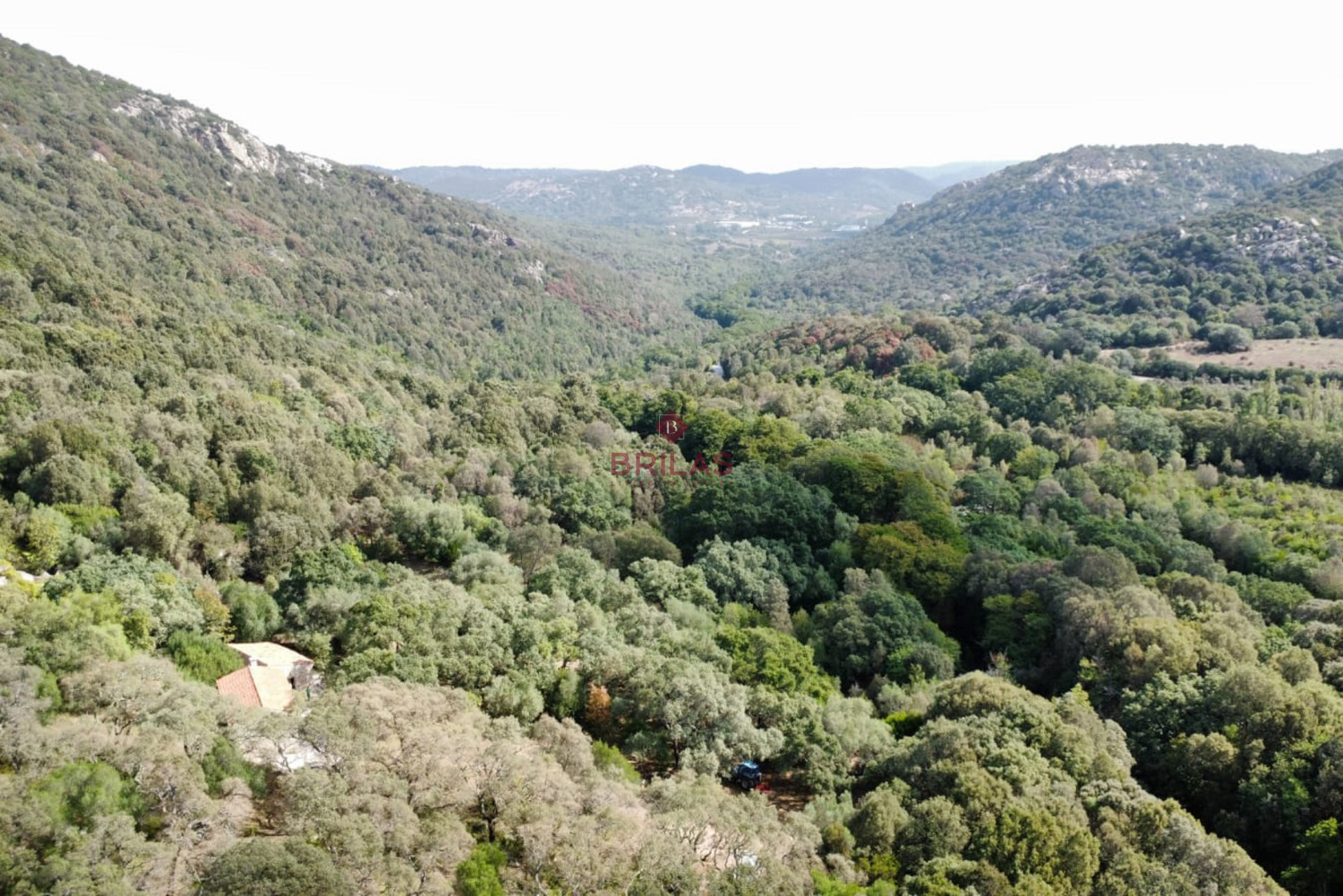 Esclusiva proprietà a Calangianus