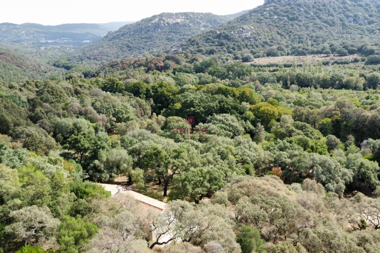 Esclusiva proprietà a Calangianus