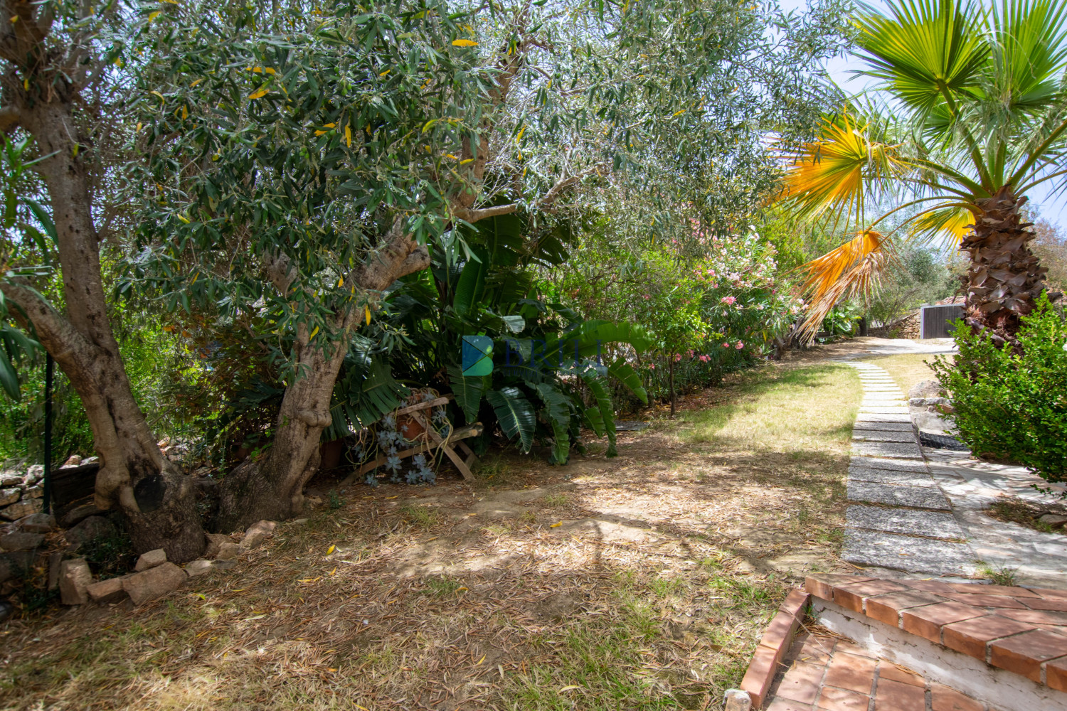 Villa in the countryside ten minutes from Olbia