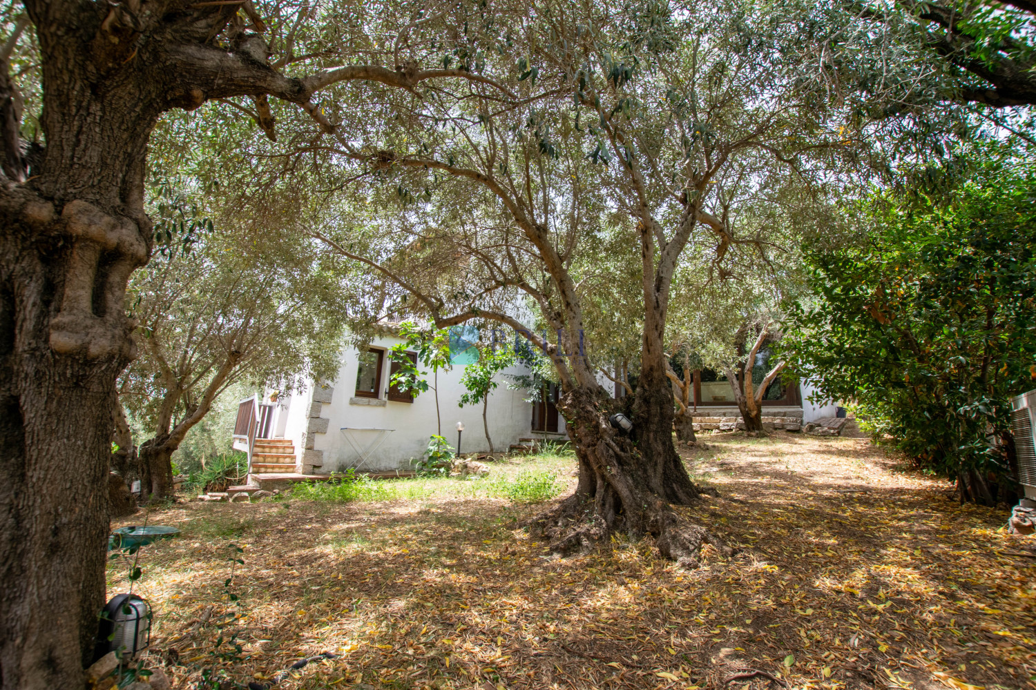 Villa in the countryside ten minutes from Olbia