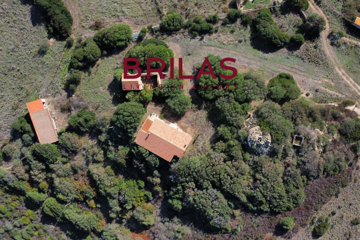 Vista Unica su Vignola e Corsica