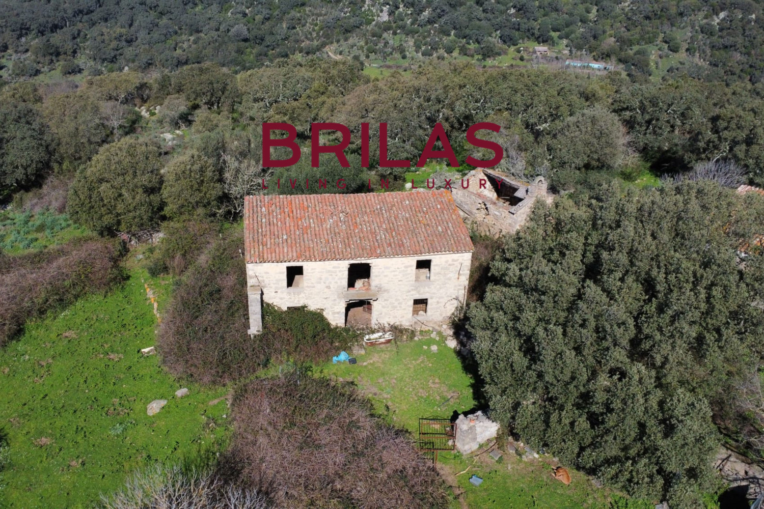 Tenuta con Sughereta e Borgo Storico a Tempio Pausania