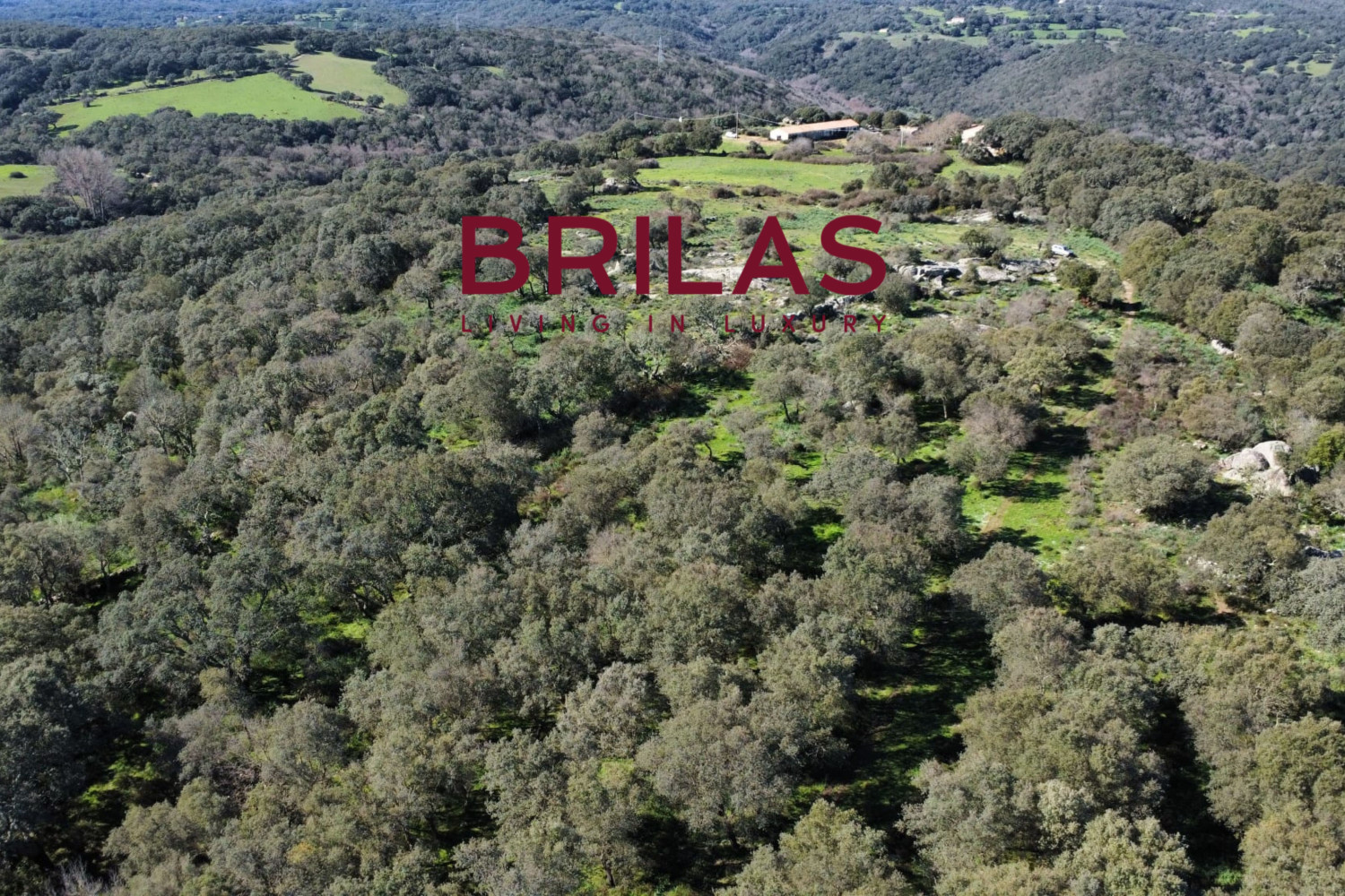 Tenuta con Sughereta e Borgo Storico a Tempio Pausania