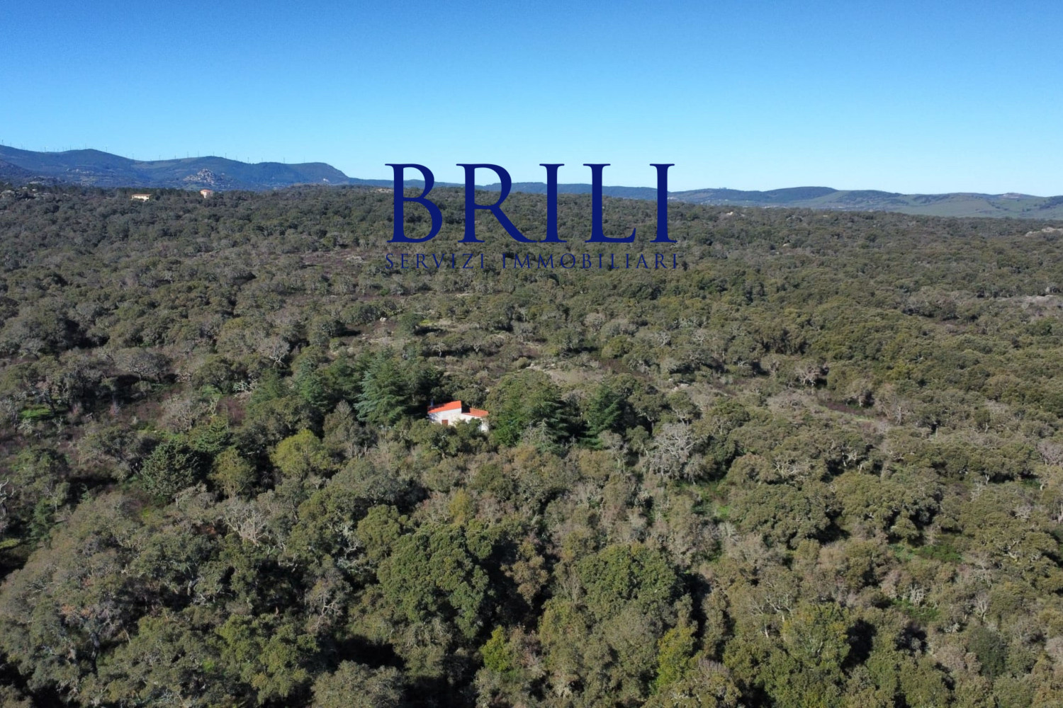 Cork Oak Estate in the Heart of Gallura