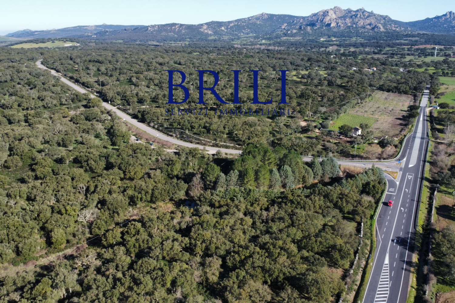 Cork Oak Estate in the Heart of Gallura