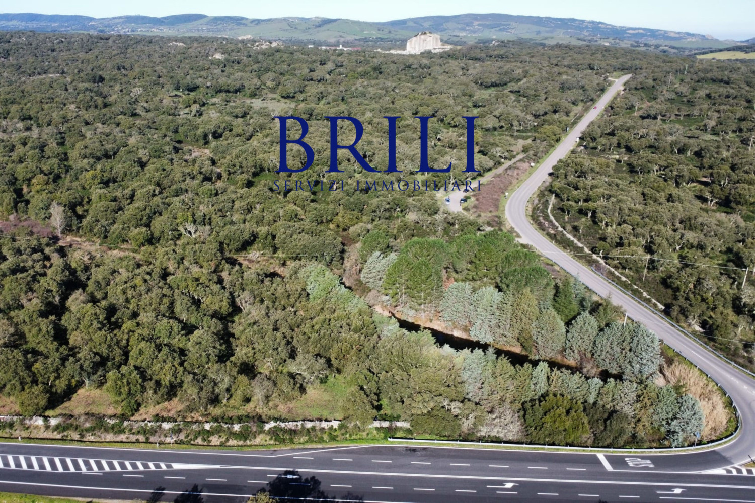 Cork Oak Estate in the Heart of Gallura