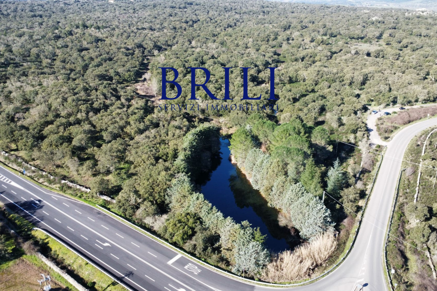 Cork Oak Estate in the Heart of Gallura