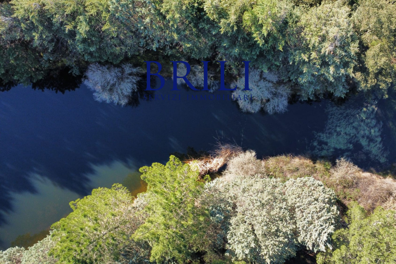 Cork Oak Estate in the Heart of Gallura