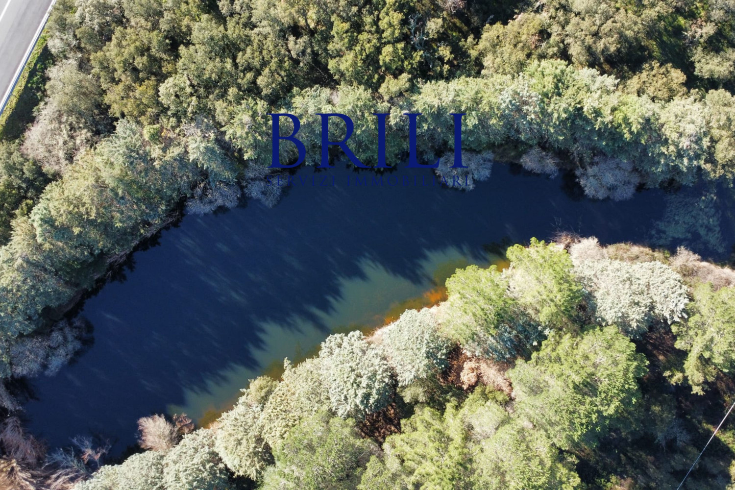 Cork Oak Estate in the Heart of Gallura