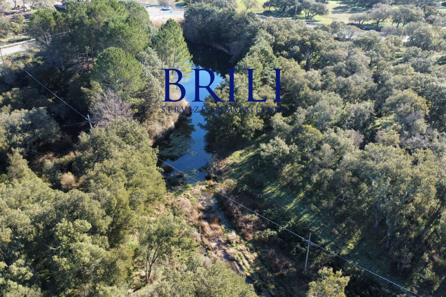 Cork Oak Estate in the Heart of Gallura