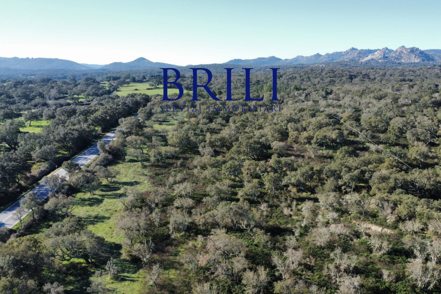 Cork Oak Estate in the Heart of Gallura