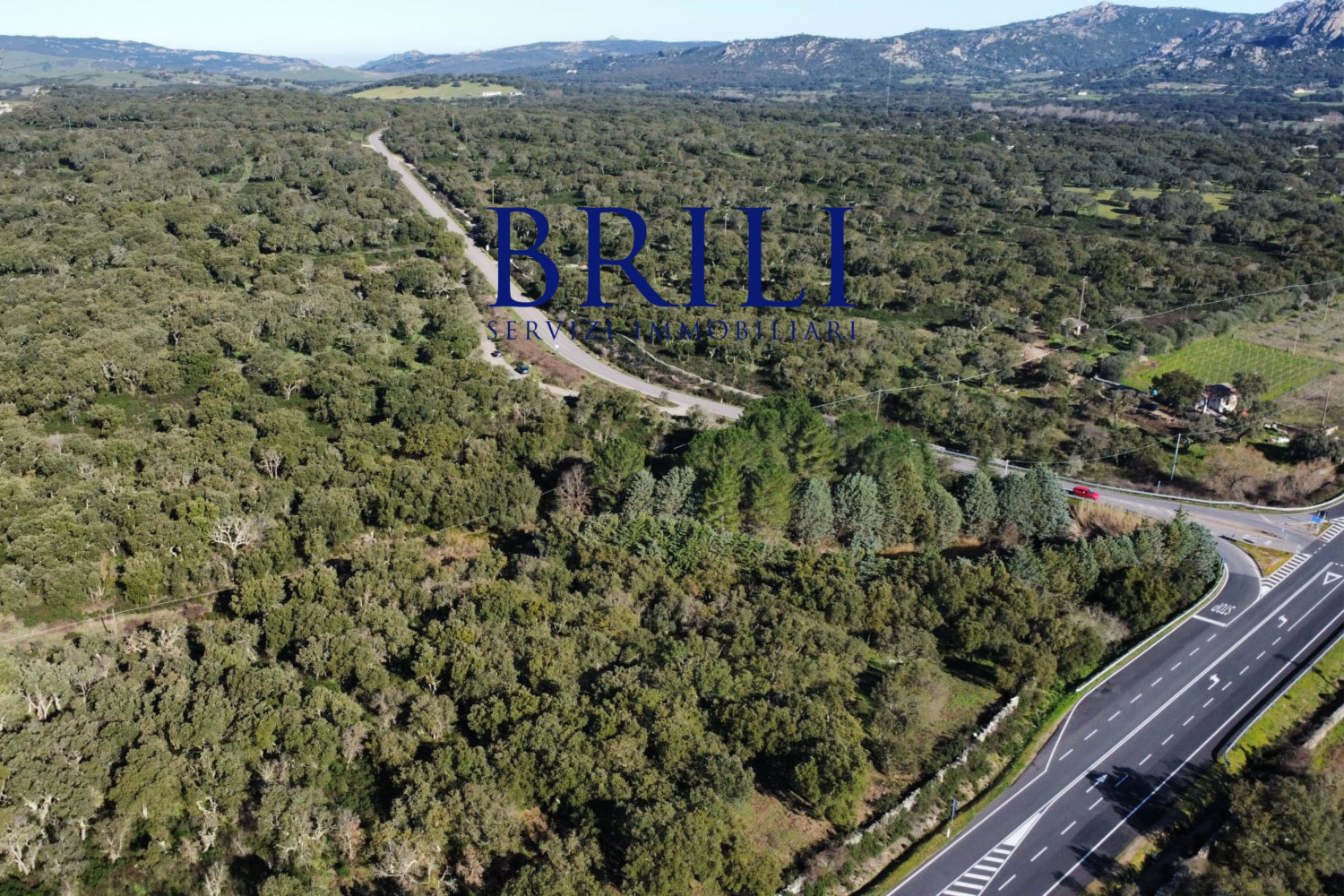 Cork Oak Estate in the Heart of Gallura