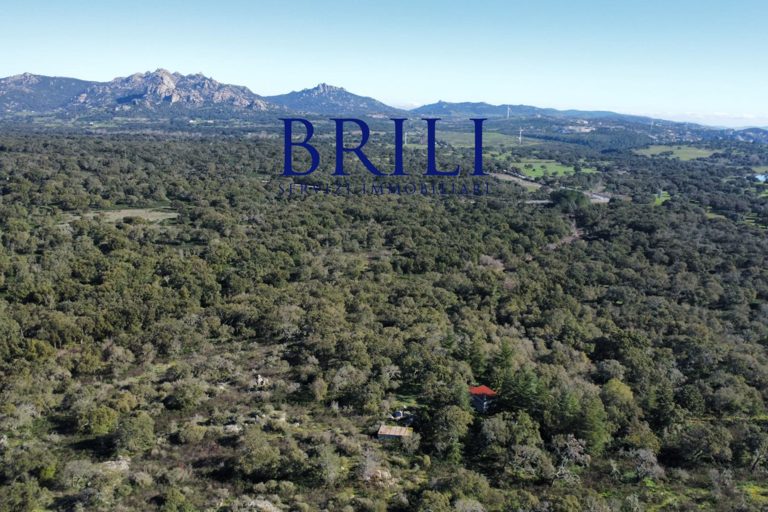 Cork Oak Estate in the Heart of Gallura