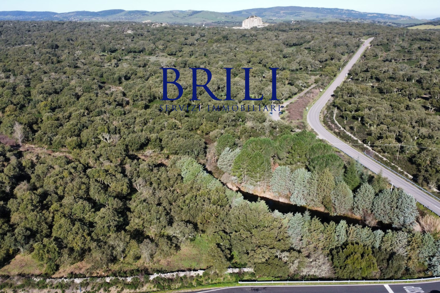 Cork Oak Estate in the Heart of Gallura