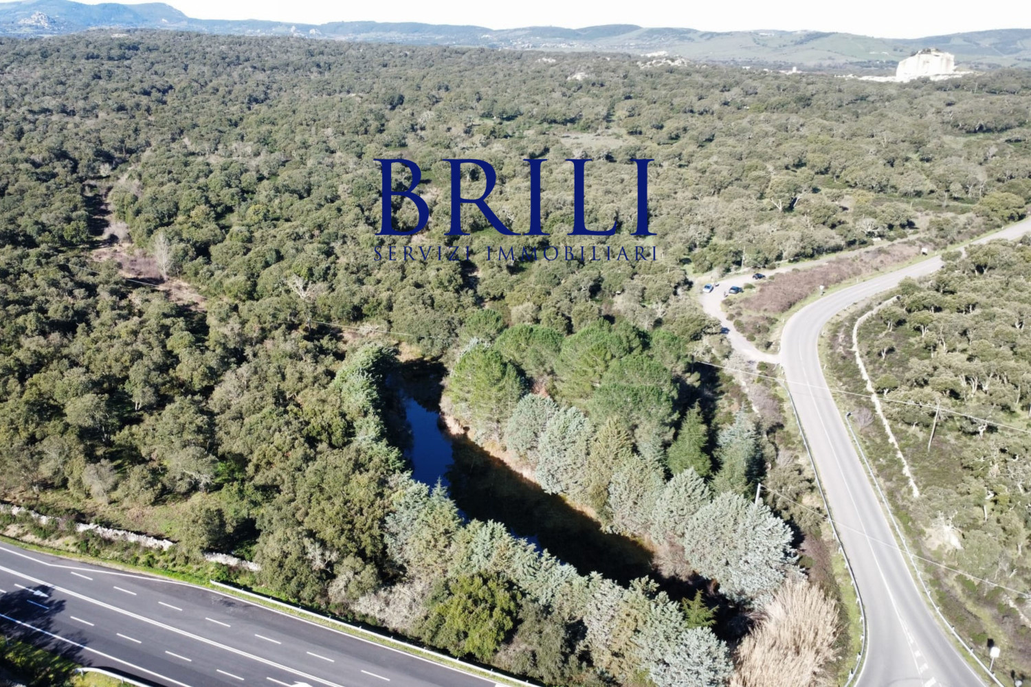 Cork Oak Estate in the Heart of Gallura