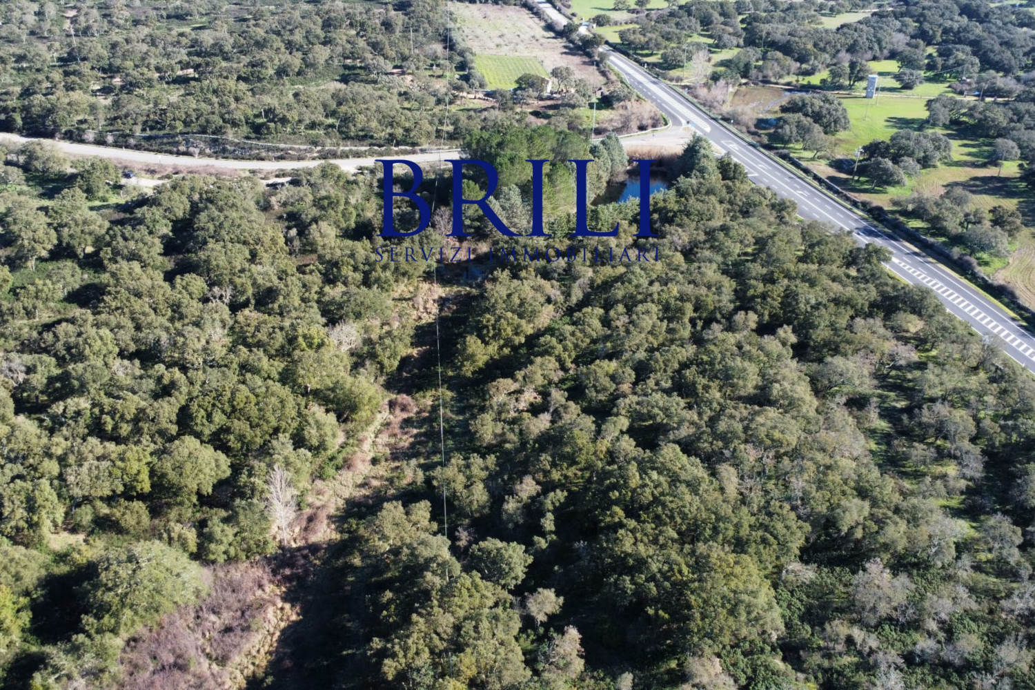 Cork Oak Estate in the Heart of Gallura