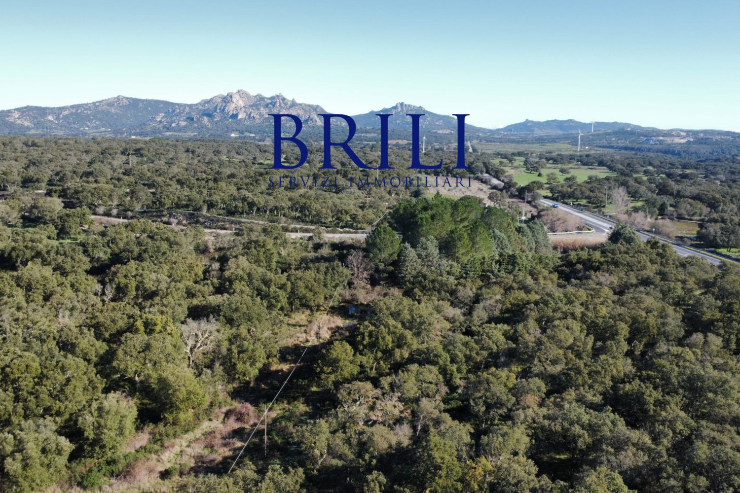 Cork Oak Estate in the Heart of Gallura