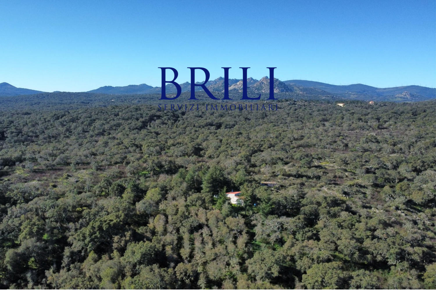 Cork Oak Estate in the Heart of Gallura