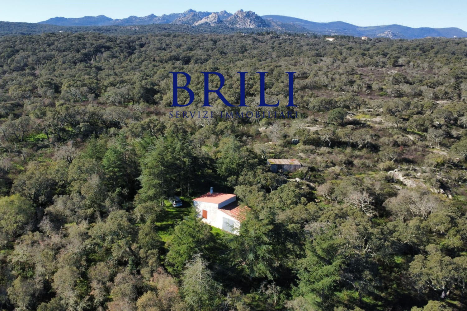 Cork Oak Estate in the Heart of Gallura