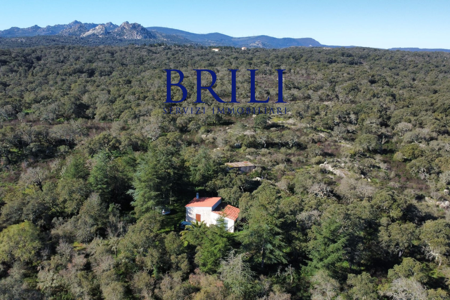 Cork Oak Estate in the Heart of Gallura